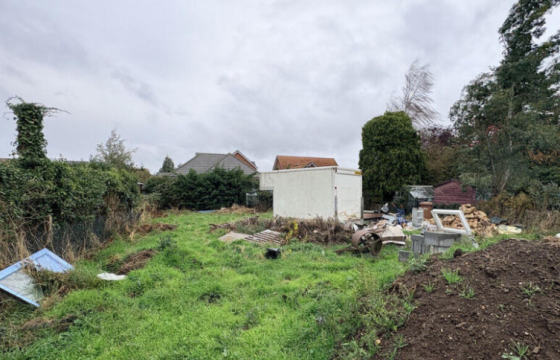 Land for sale in Manea photo